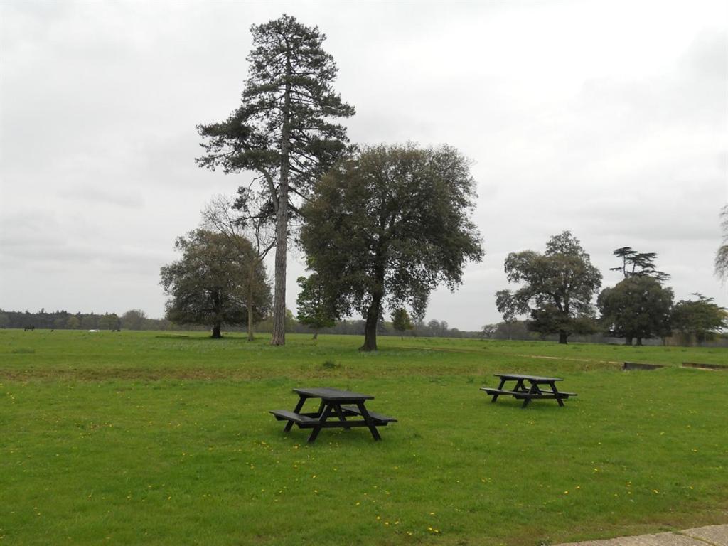 サウスウォルド The Stables At Henham Park Bed & Breakfast エクステリア 写真