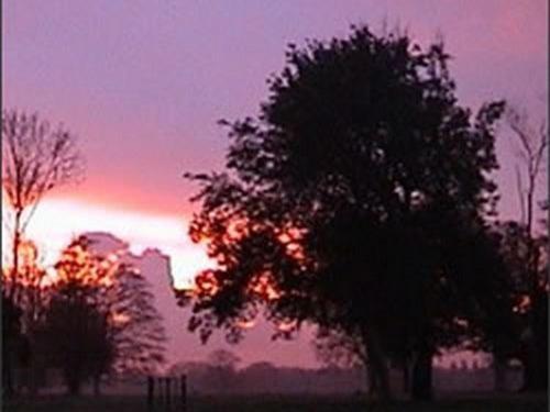 サウスウォルド The Stables At Henham Park Bed & Breakfast エクステリア 写真